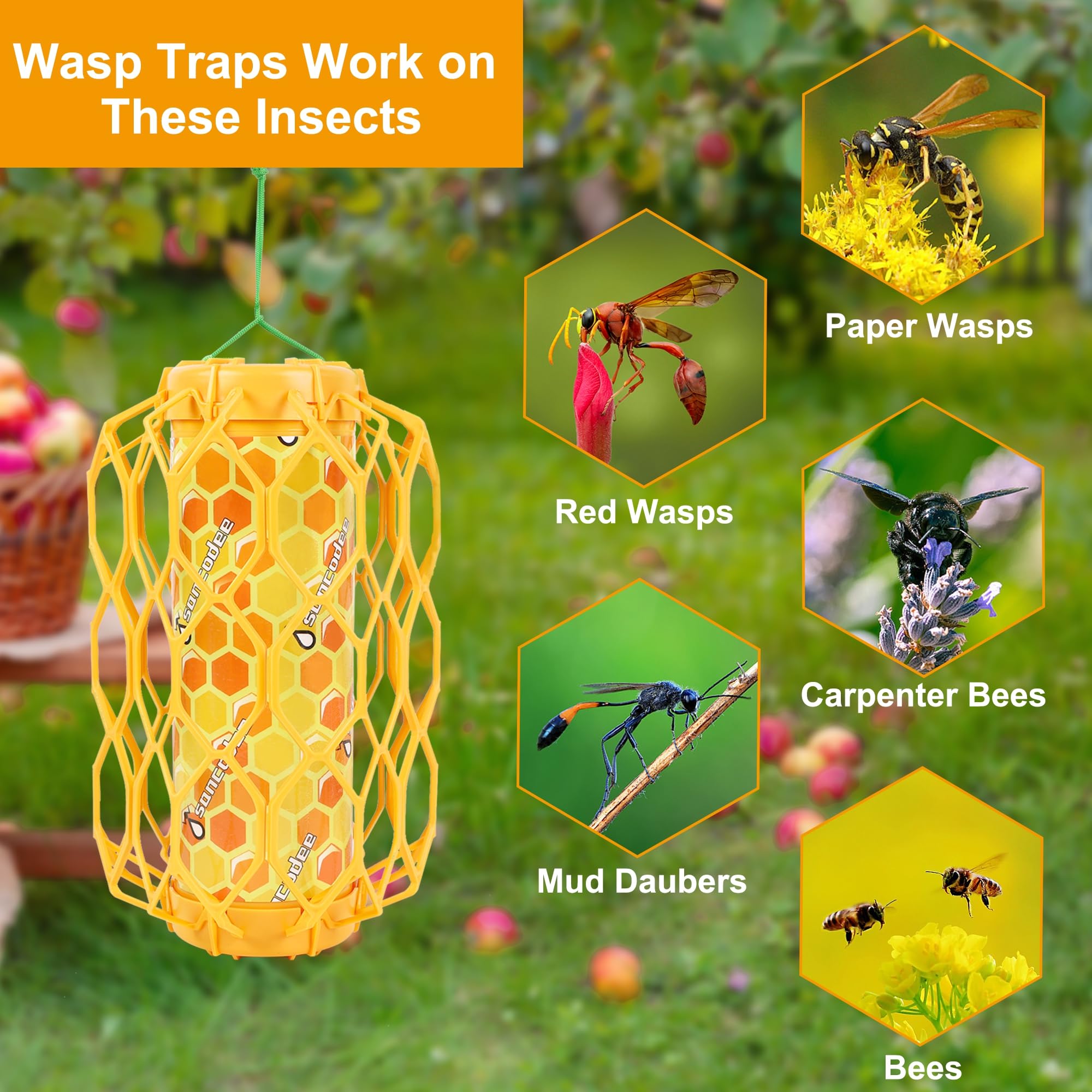 Amazon.com : Sancodee 4 Pack Upgraded Wasp Trap Outdoor Hanging